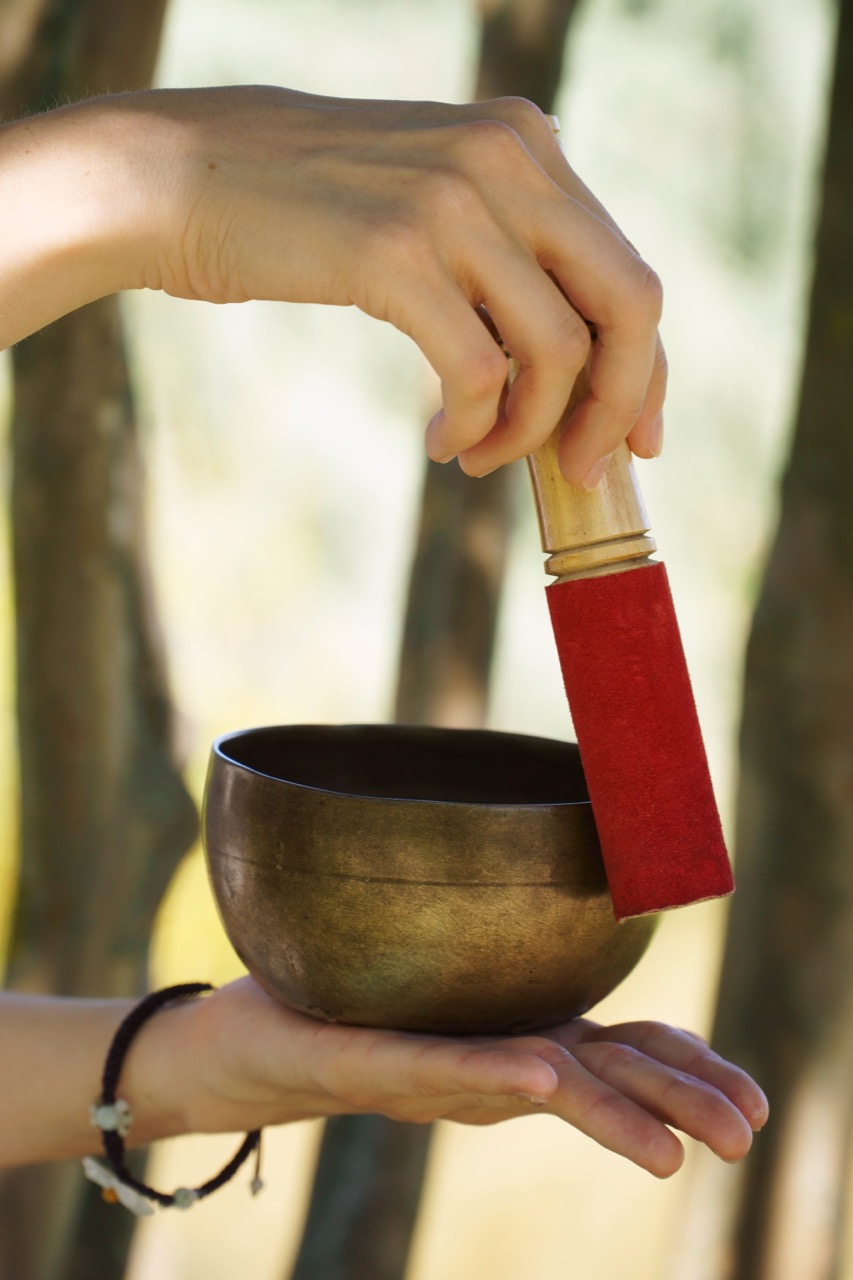 Formation 200h de professeur.e de yoga - Ayurveda, Nidra, Vinyasa, Hatha.