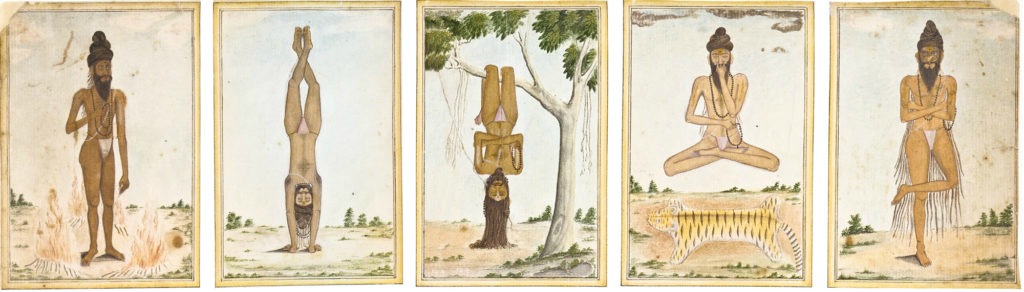Formation 200h de professeur.e de yoga - Ayurveda, Nidra, Vinyasa, Hatha.